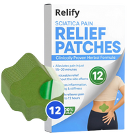 12x Back Pain Relief Patches